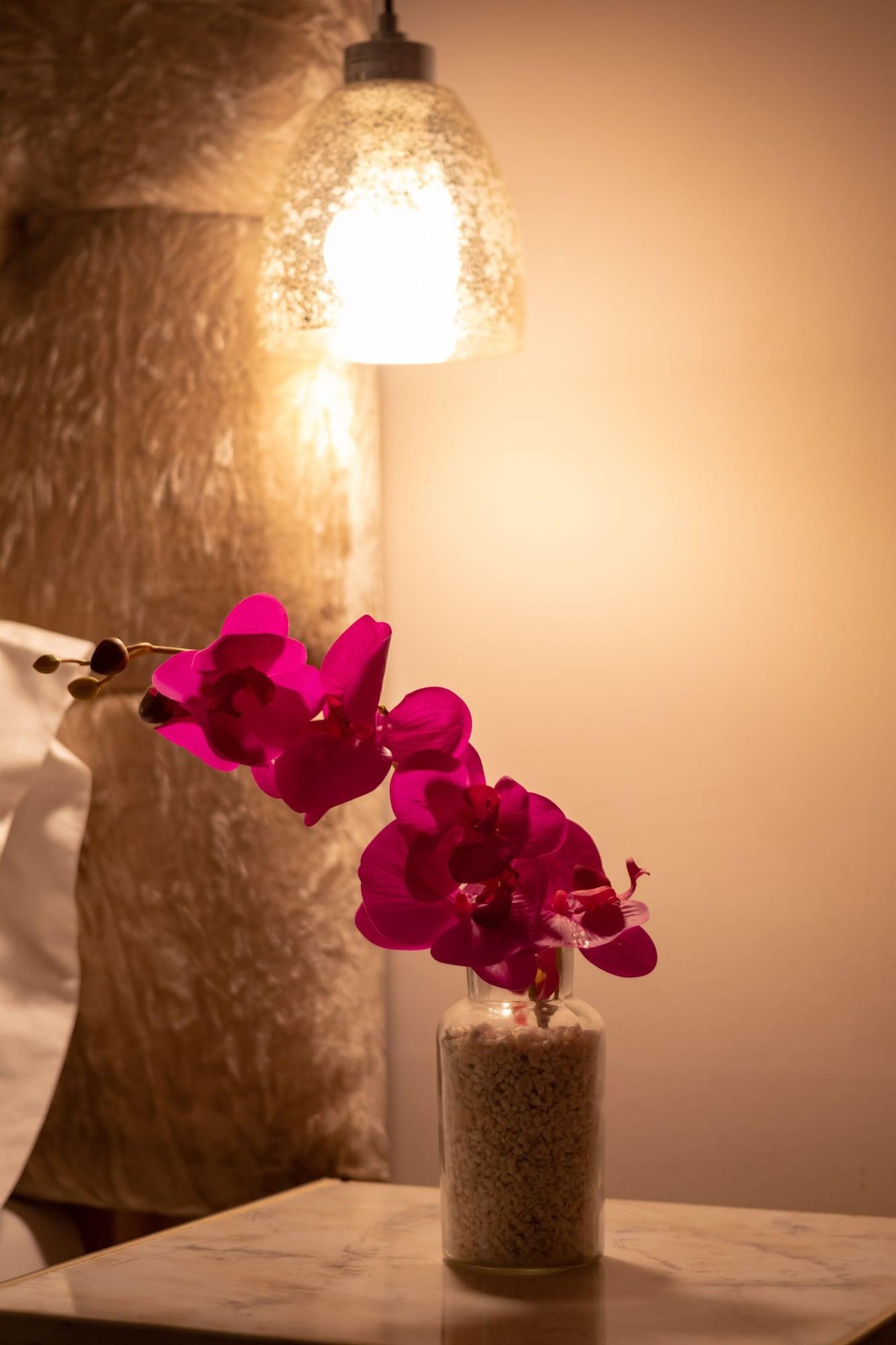 Aposentos De San Pedro Hotel Cartagena ภายนอก รูปภาพ
