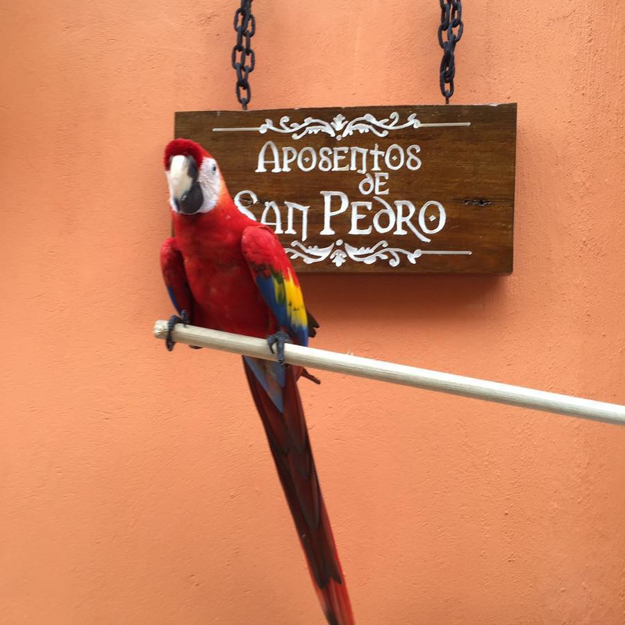 Aposentos De San Pedro Hotel Cartagena ภายนอก รูปภาพ